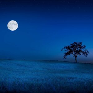 Night time with moon showing deep rest