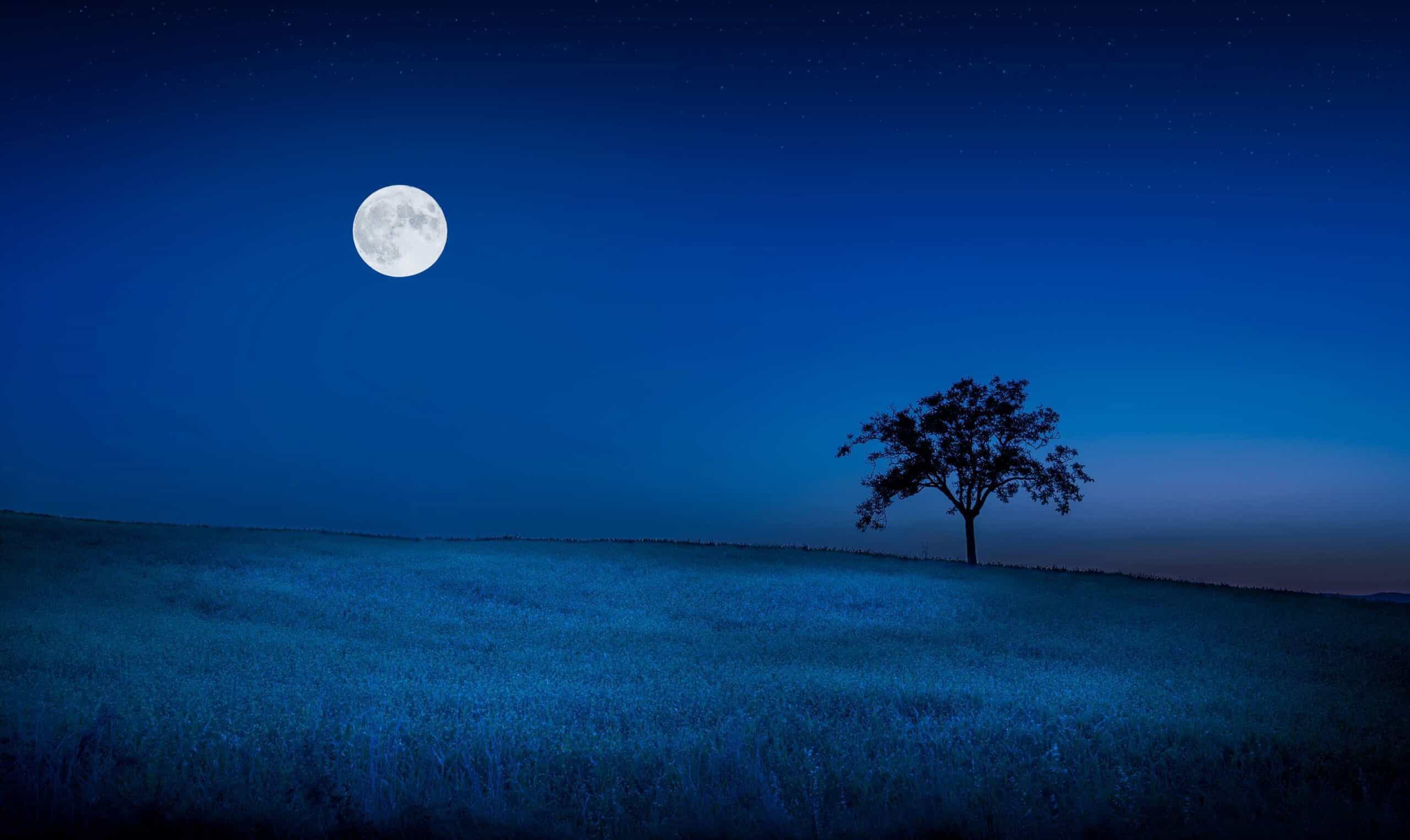 Night time with moon showing deep rest