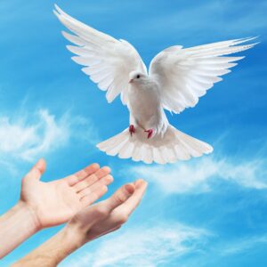 396 Hz – Liberating Guilt & Fear