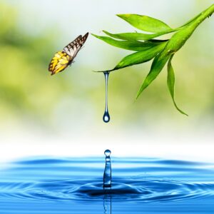 528 Hz – Transformation