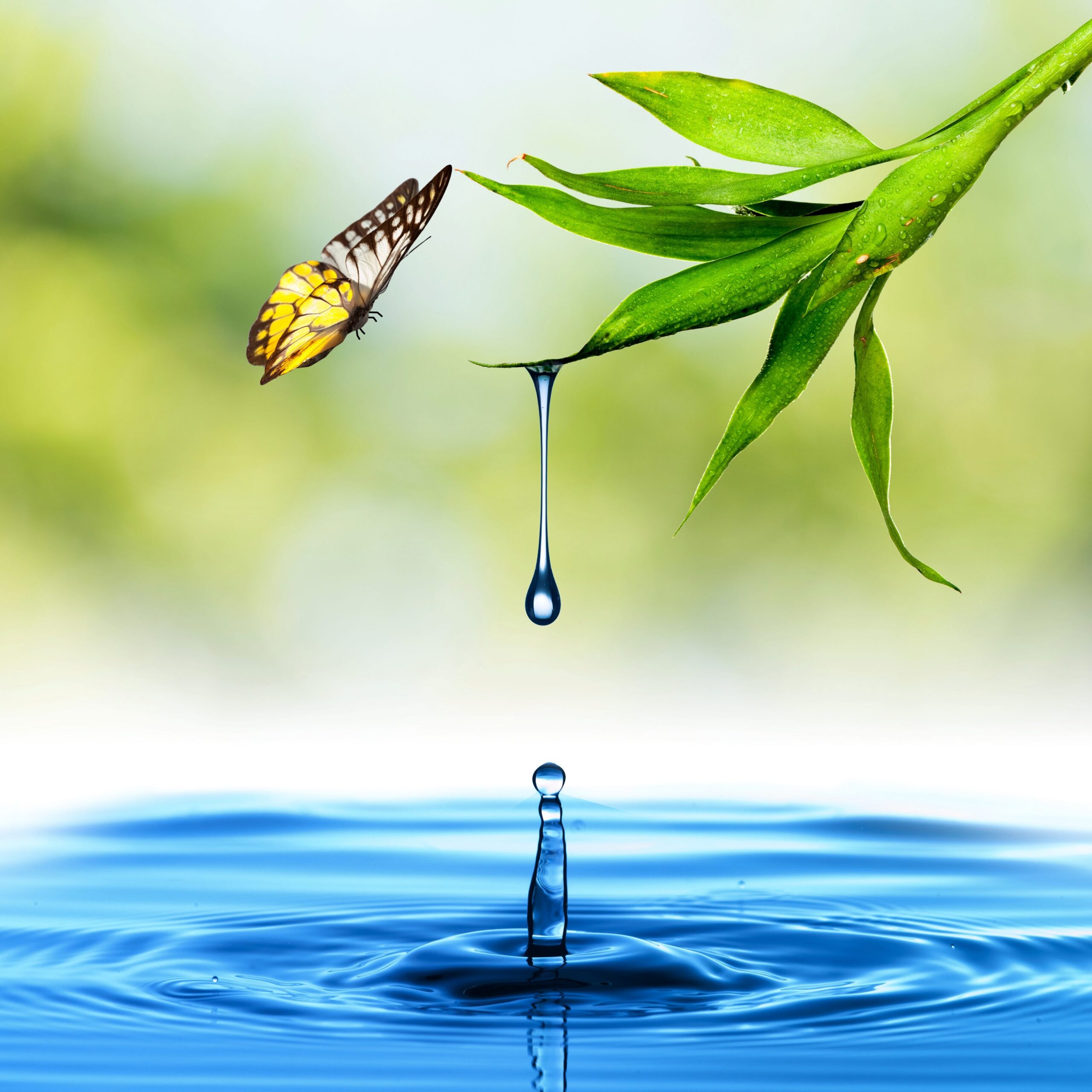528 Hz – Transformation